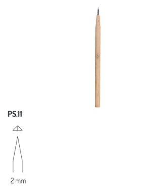 PS11 RGM